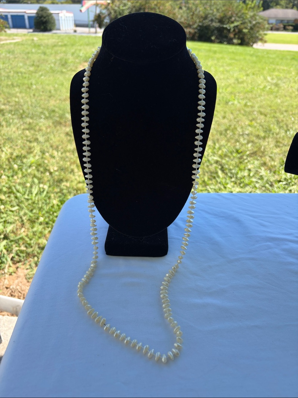 Lustrous Freshwater Pearl Long Necklace - White